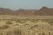 Oryx, Namibia