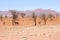 Oryx purple mountains orange desert landscape, Namibia