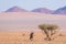 Oryx resting under shadow of Acacia tree in the colorful Namib desert of the majestic Namib Naukluft National Park, best travel de