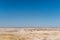 Oryx, springbok, ostrich and Burchells zebras at a waterhole