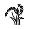 oryza plant food line icon vector illustration