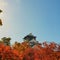 Osaka castle captured behind autumn foliage, orange tree leaves against a blue sky