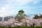 Osaka castle with cherry blossom in Osaka; Japan. Japan spring b