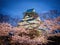 Osaka castle among cherry blossom trees (sakura) in the evening scene