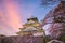 Osaka Castle with full bloom of Sakura
