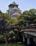 Osaka Castle and moat