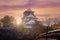 The Osaka Castle prime time.