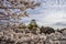 Osaka castle and a tourist boat in the city moat