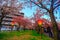 Osaka, Japan. Beautiful light and colours of Japanese lanterns and cherry blossoms