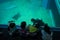 OSAKA, JAPAN - JULY 18, 2017: Unidentified children enjoying sea creatures and and looking at diver at Osaka Aquarium