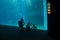 OSAKA, JAPAN - JULY 18, 2017: Unidentified people taking pictures and enjoying sea creatures at the Osaka Aquarium