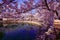 Osaka, Japan. Temple in Osaka in spring, blooming season, cherry blossoms.