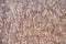 OSB. oriented strand board texture