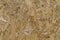 Osb texture yellow wood