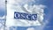 OSCE Waving Flag