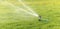 Oscillating irrigation sprinkler of the lawn at noon close-up