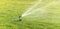 Oscillating irrigation sprinkler of the lawn at noon close-up