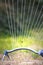 Oscillating sprinkler irrigating dry lawn