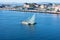 Oslo, Norway - September, 22, 2019: Part of The Oslo Opera House building of the Norwegian national opera