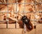 Osmia wall bee sitting on nesting aid