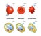 Osmotic pressure in plant and animal cells