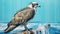 Osprey Acrylic Painting: Detailed Comic Book Art By Harel Safai