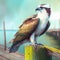 Osprey bird sitting on a wooden pier. Digital painting.