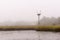 Osprey nest on a foggy day, Quincy MA