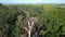 Osprey On Nest High In Tree