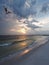 Osprey Returns to It\'s Nest as the Sun Sets on Florida Beach,