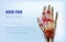 Osteoarthritis rheumatoid arthritis hand sore joints concept