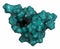 Osteocalcin bone-building hormone.