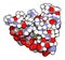 Osteocalcin bone-building hormone.