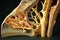 osteoporosis bone micro structure created by generative AI
