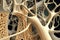 osteoporosis bone micro structure created by generative AI