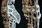 osteoporosis bone micro structure created by generative AI