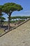 Ostia Antica Ruins