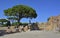 Ostia Antica Ruins