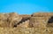 OSTIA ANTICA RUINS: AMPHITHEATER STEPS DETAILS