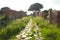 OSTIA ANTICA RUINS: MAIN AVENUE THAT CROSSES THE ARCHEOLOGICAL SITE