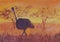 ostrich in the African savanna at sunset