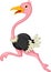 Ostrich cartoon running isolated