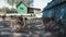 Ostrich chicks bird flock on farm field. Group of chicks ostriches. Slow motion shot