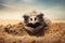 Ostrich in the desert at sunset, 3d illustration, A scared ostrich burying its head in the sand concept, AI Generated