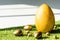 Ostrich egg and golden Easter eggs on green grass surface
