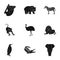 Ostrich emu, crocodile, giraffe, tiger, penguin and other wild animals. Artiodactyla, mammalian predators and animals