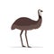Ostrich or emu icon cartoon endangered wild animal symbol wildlife species fauna concept flat