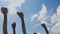 ostrich farm. Ostriches farming. close-up. ostrich heads with beaks, on long necks, against a blue sky with clouds.