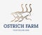Ostrich farming creative logo. Three running ostriches sign. Camel-birds icon