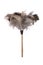 Ostrich Feather Duster